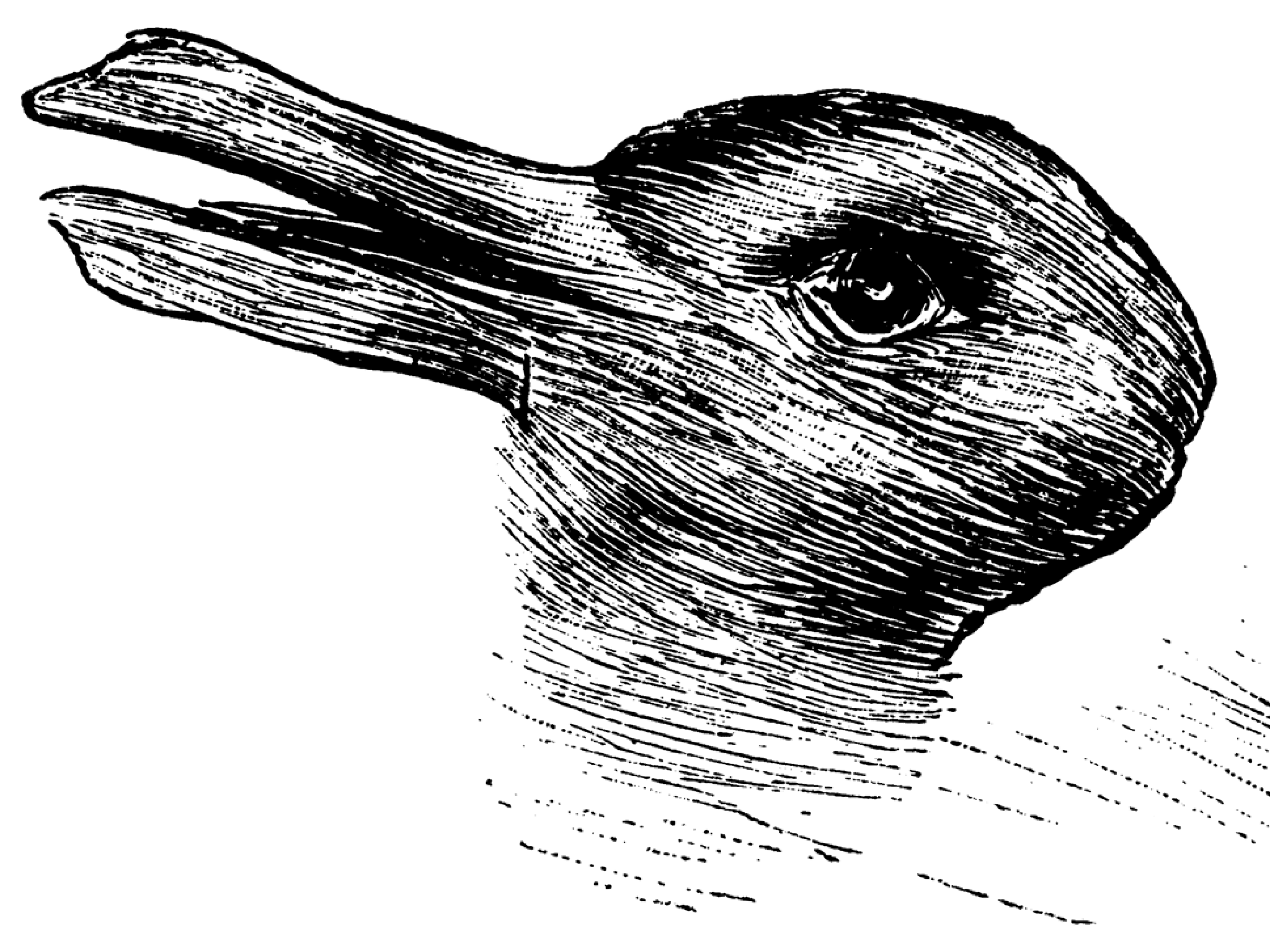 Duck or rabbit? 100-year-old optical illusion by Joseph Jastrow.